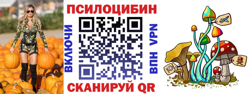 Купить закладки  Новокузнецк  Галлюциногенные грибы Psilocybine cubensis 